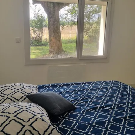 Le T3 Avec Jardin Privé Flourens