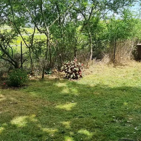 Διαμέρισμα Le T3 Avec Jardin Prive *