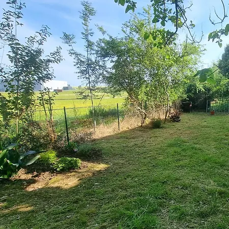 Le T3 Avec Jardin Prive アパート *