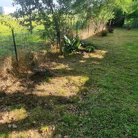 アパート Le T3 Avec Jardin Prive *