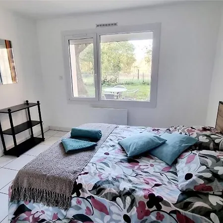 Le T3 Avec Jardin Prive