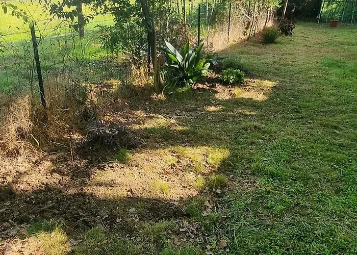 Apartament Le T3 Avec Jardin Prive *